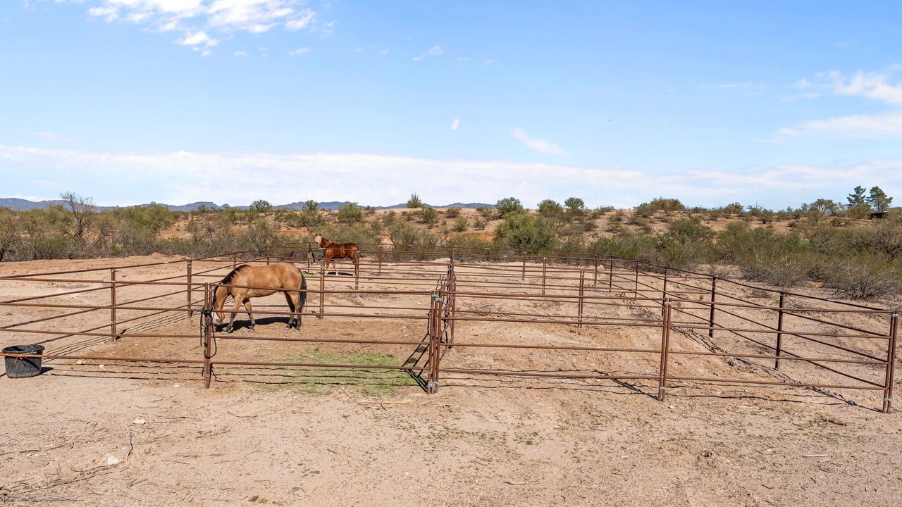 Photo of Others in Wickenburg