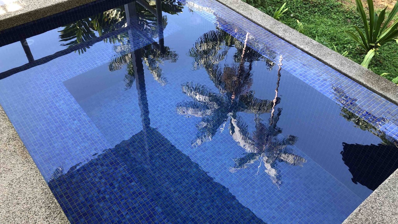 Photo of Outdoor in Cocles