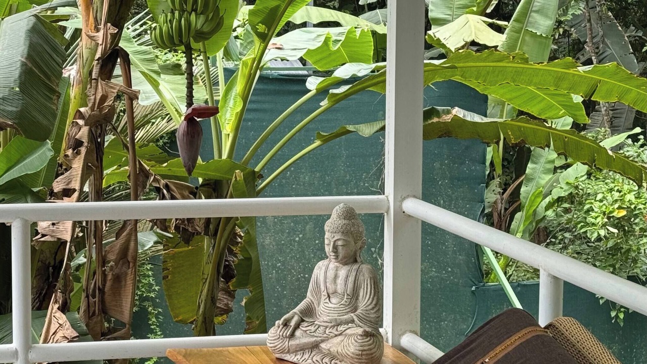 Photo of Outdoor in Cocles