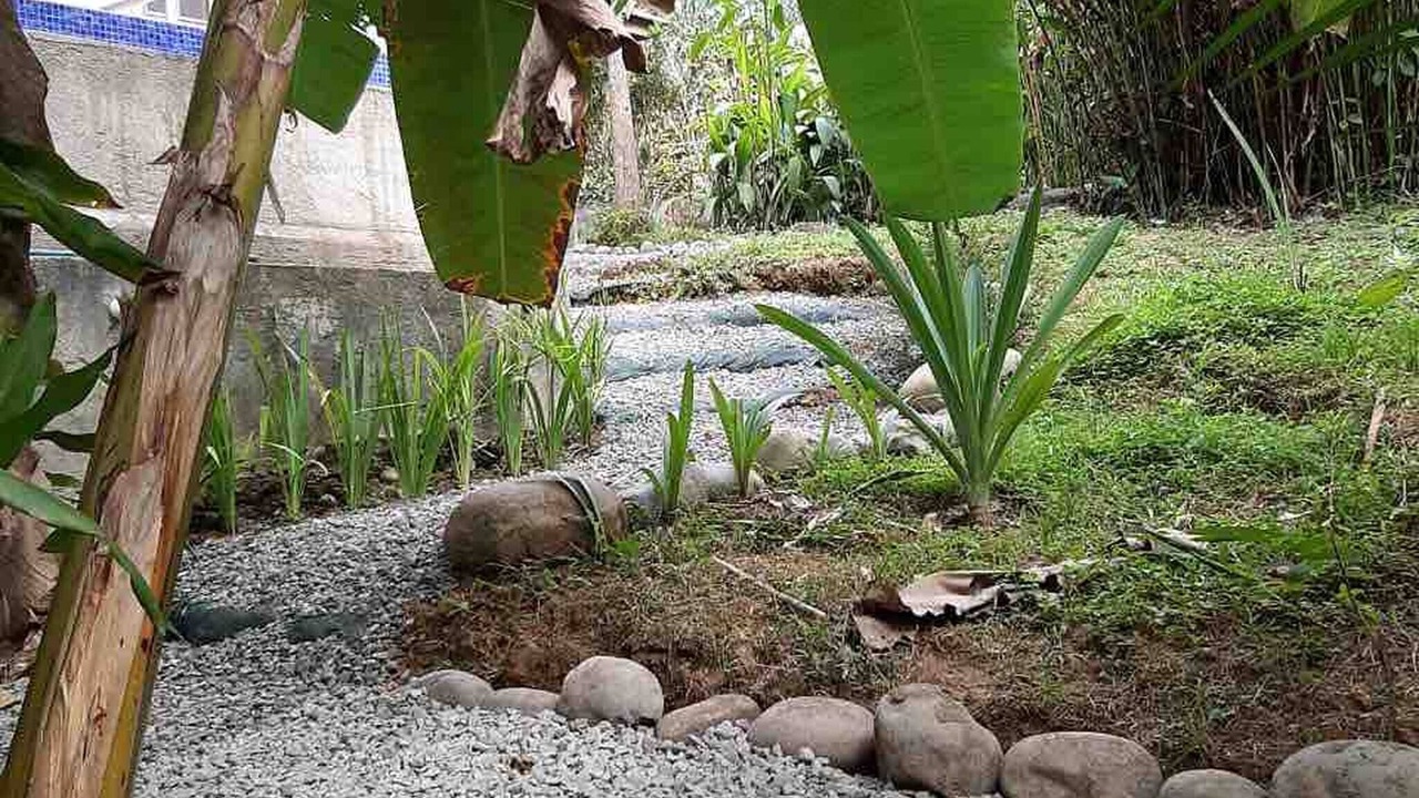 Photo of Outdoor in Cocles
