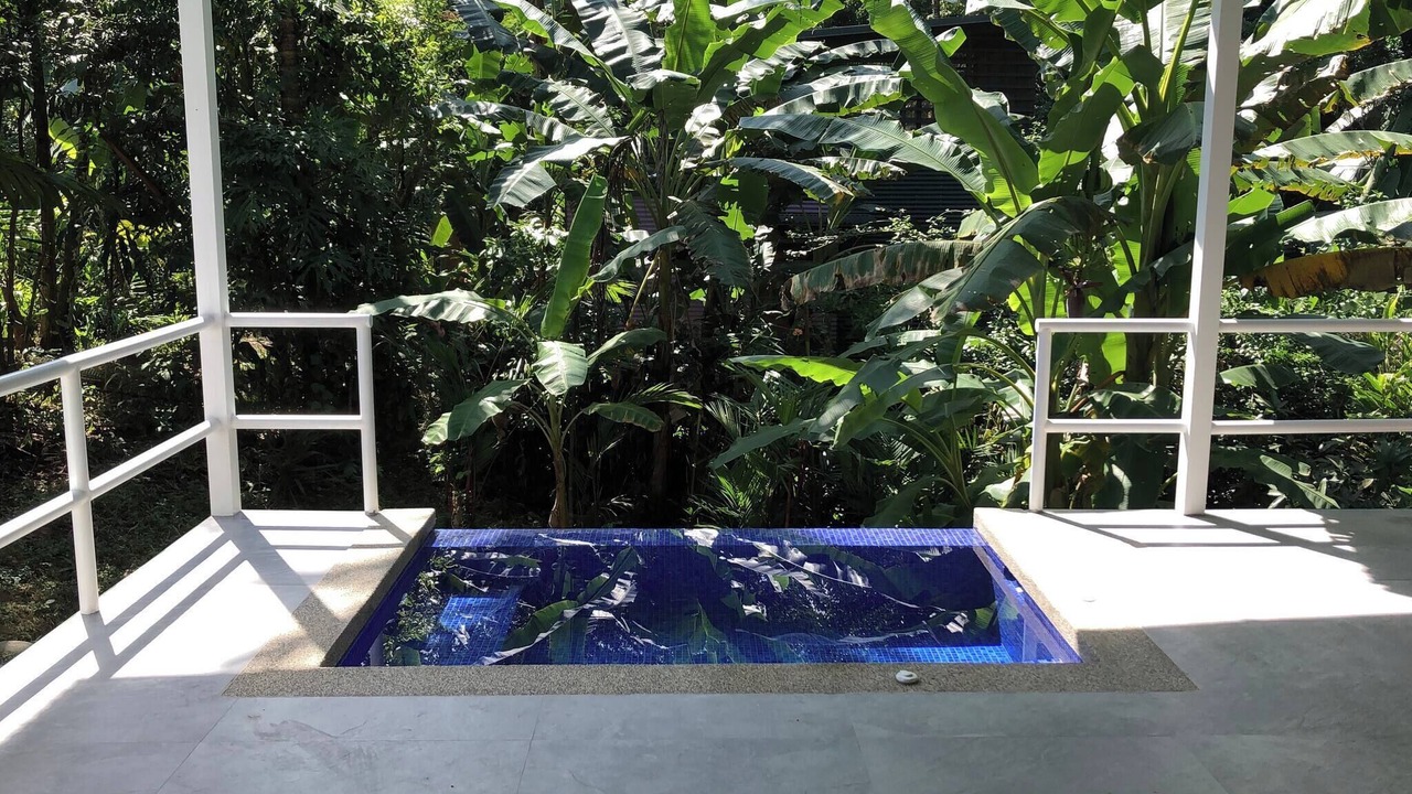 Photo of Outdoor in Cocles