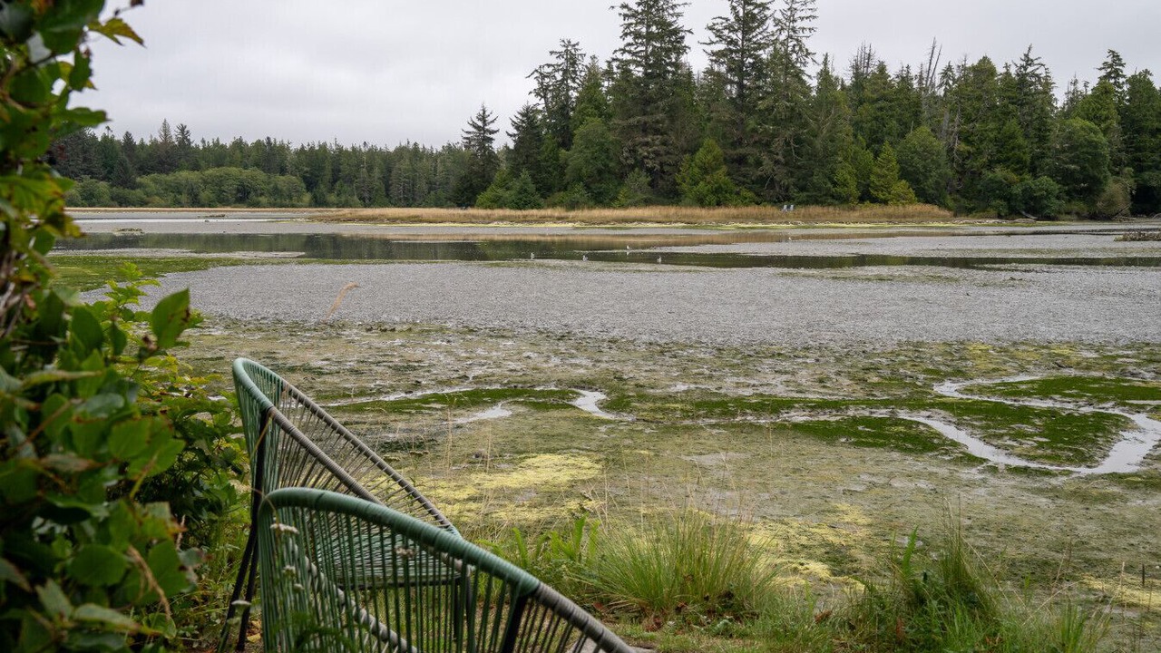 Photo of Others in Tofino