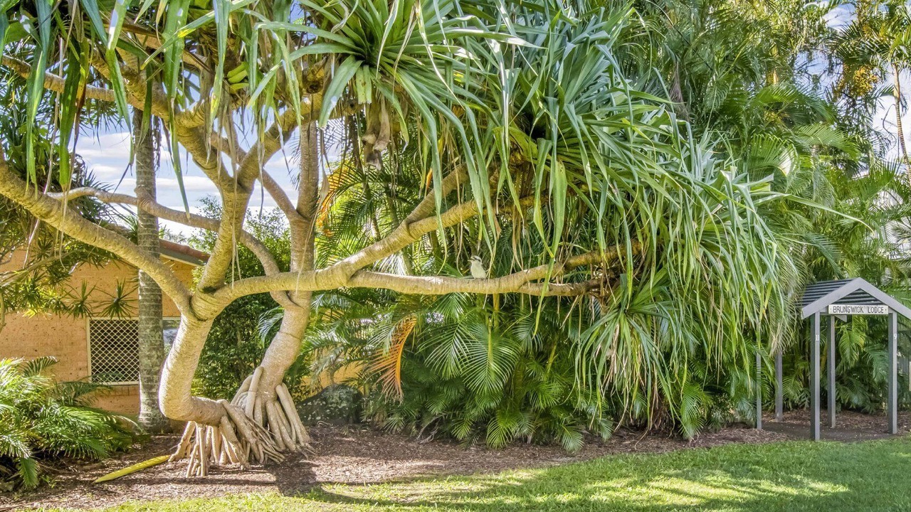 Photo of Outdoor in Brunswick Heads