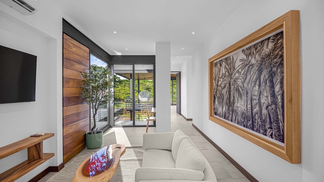 Photo of Livingroom in Tamarindo