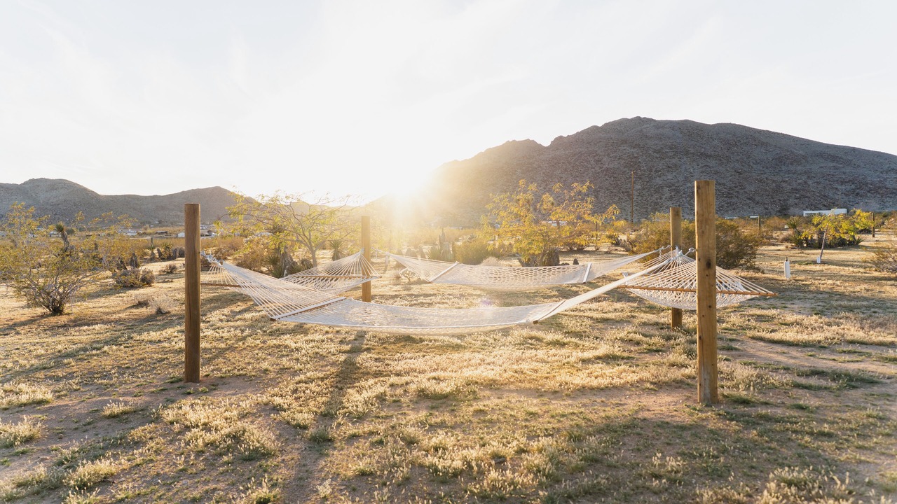 Photo of Outdoor in Joshua Tree