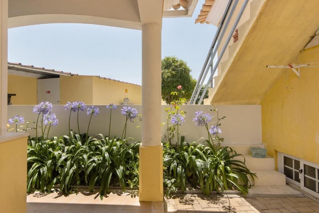 Photo of Outdoor in Ponte de Vagos