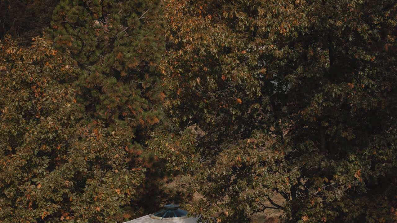 Photo of Others in Dunlap