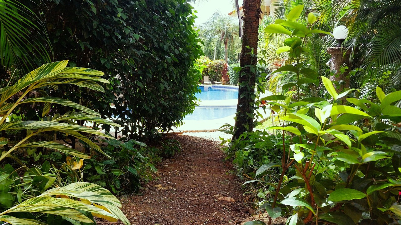 Photo of Outdoor in Tamarindo