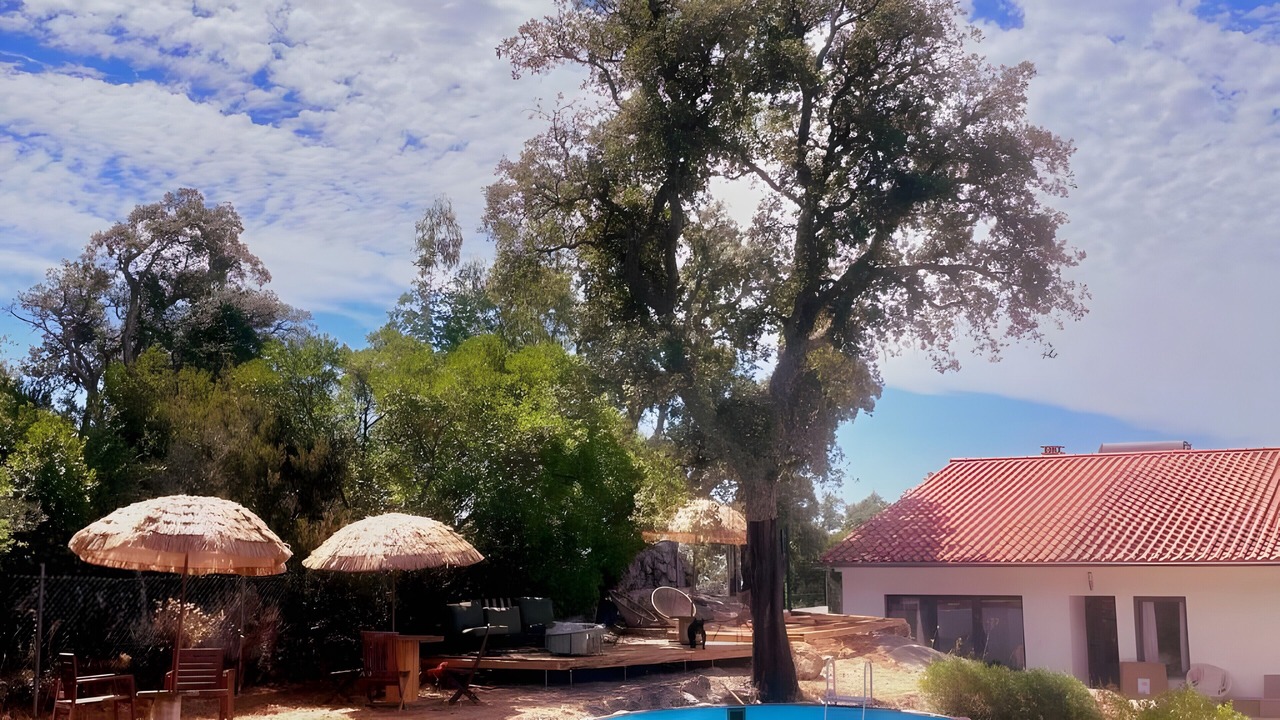 Photo of Outdoor in Barracao