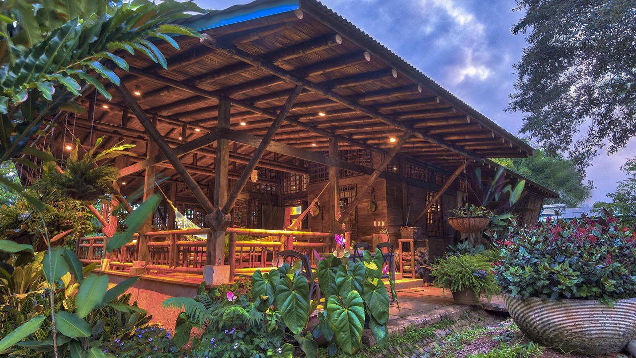 Photo of Outdoor in Platanares