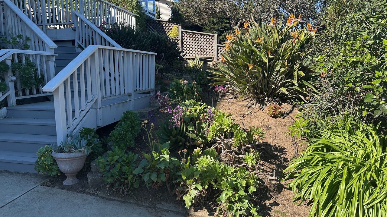 Photo of Outdoor in Morro Bay