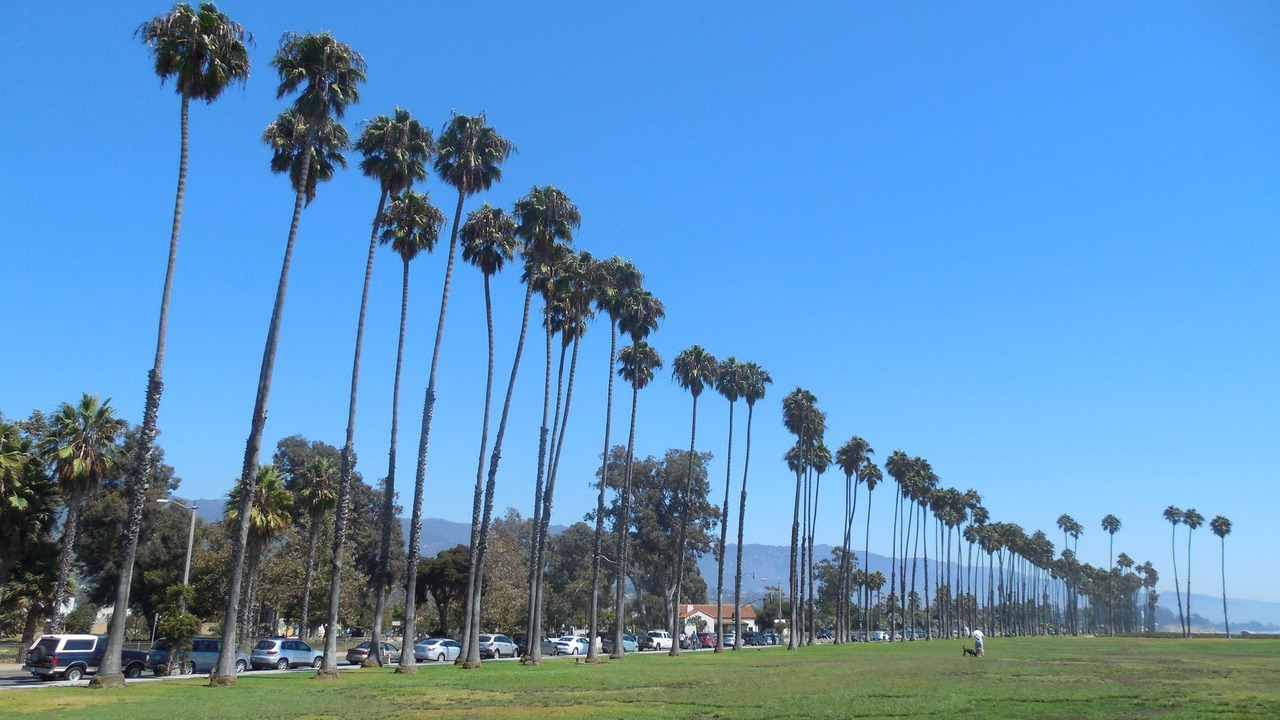 Photo of Others in East Beach