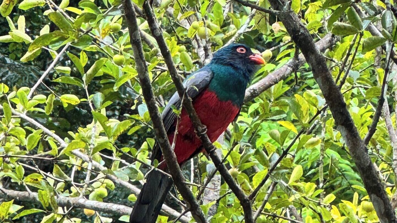 Photo of Others in Punta Uva
