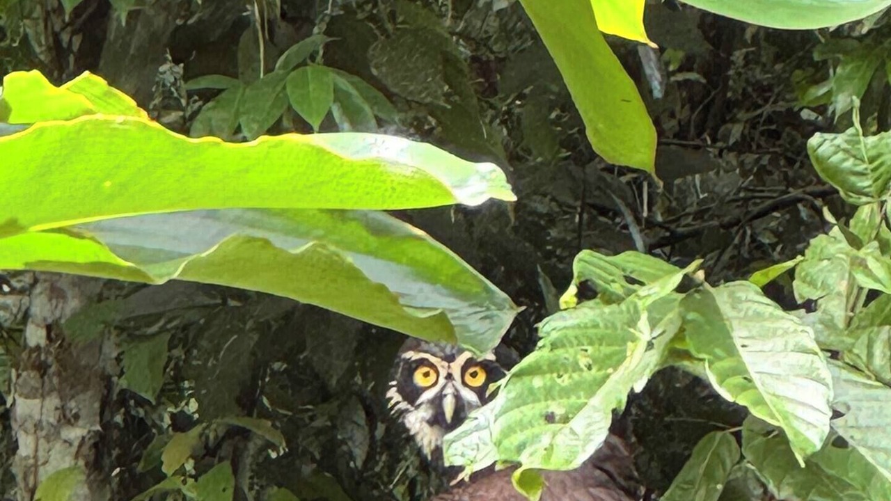 Photo of Others in Punta Uva