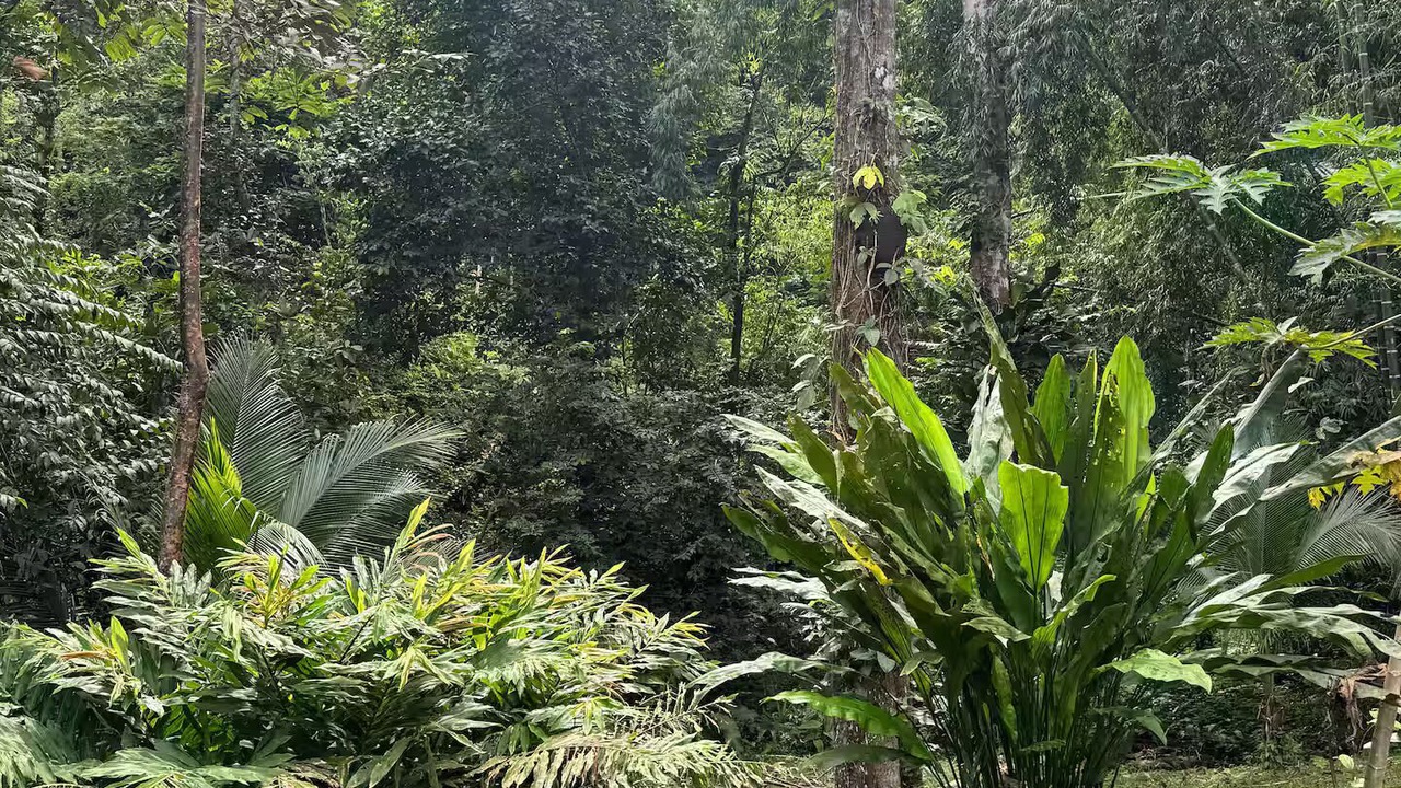 Photo of Outdoor in Punta Uva