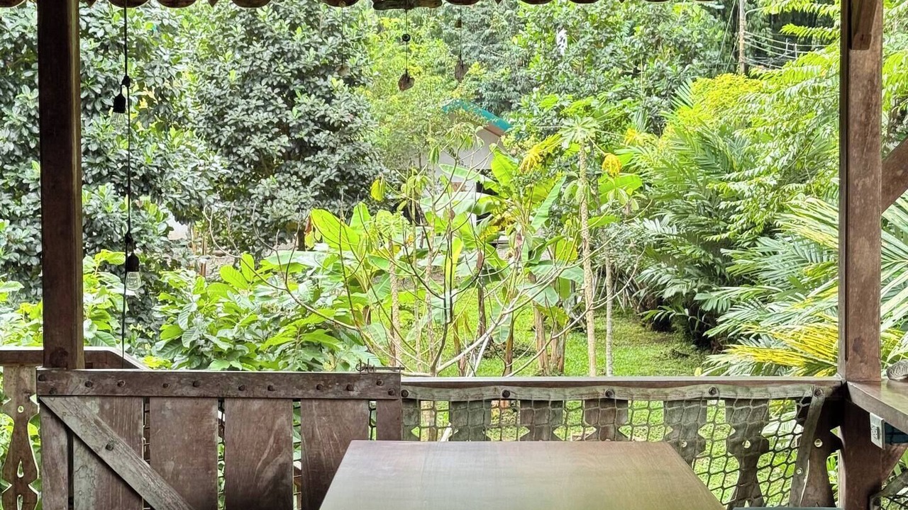 Photo of Outdoor in Punta Uva