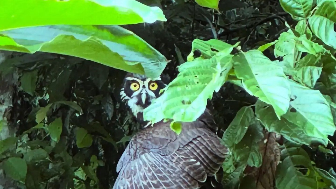 Photo of Others in Punta Uva