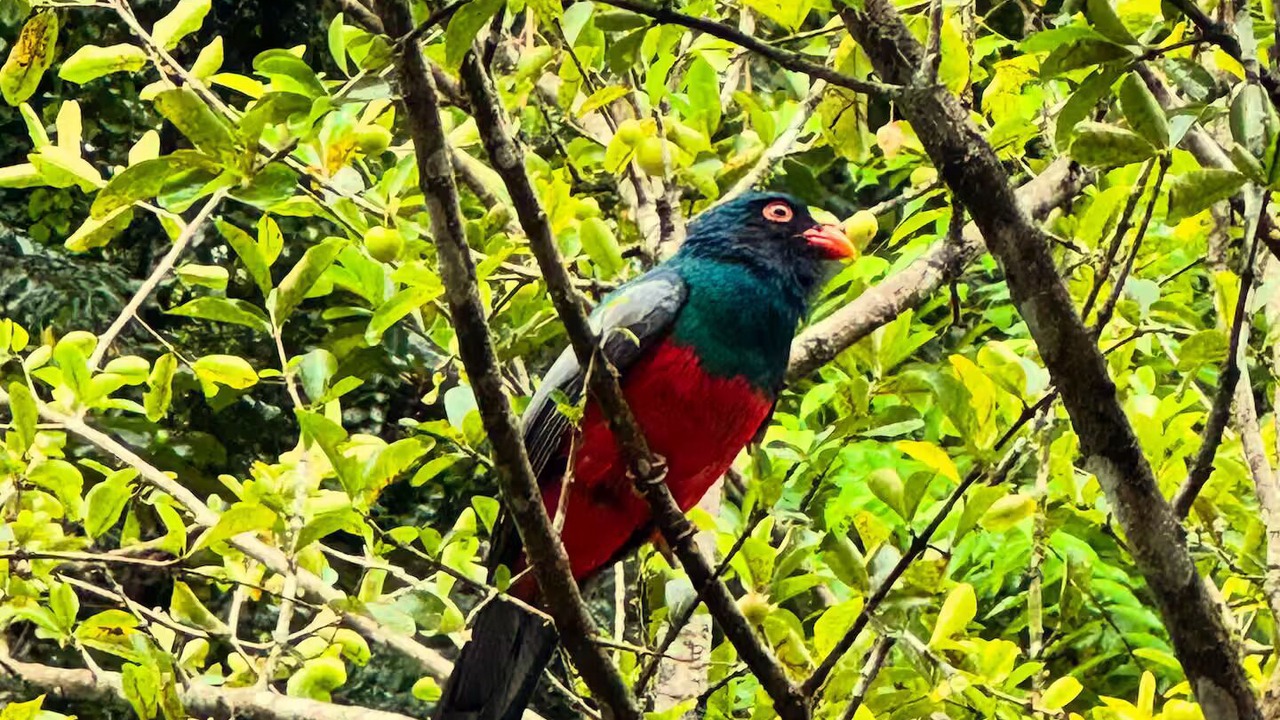 Photo of Others in Punta Uva