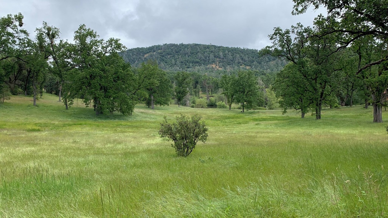 Photo of Others in North Fork
