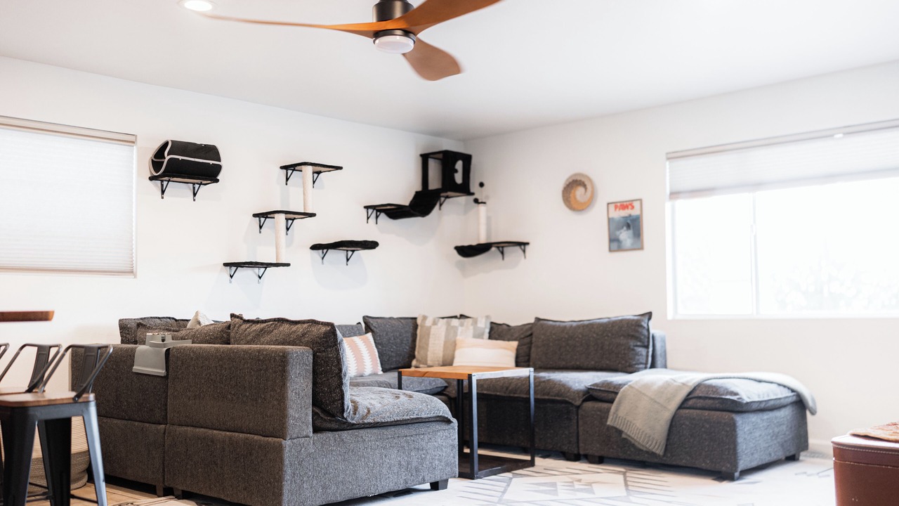 Photo of Livingroom in Borrego Springs