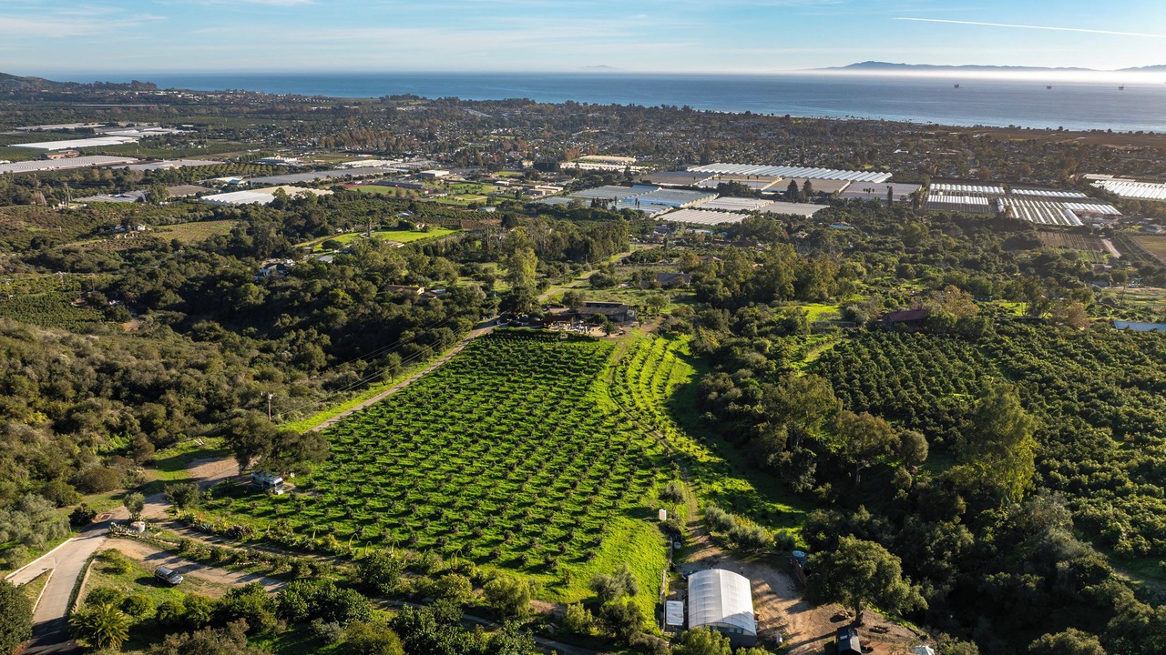 Photo of Outdoor in Carpinteria