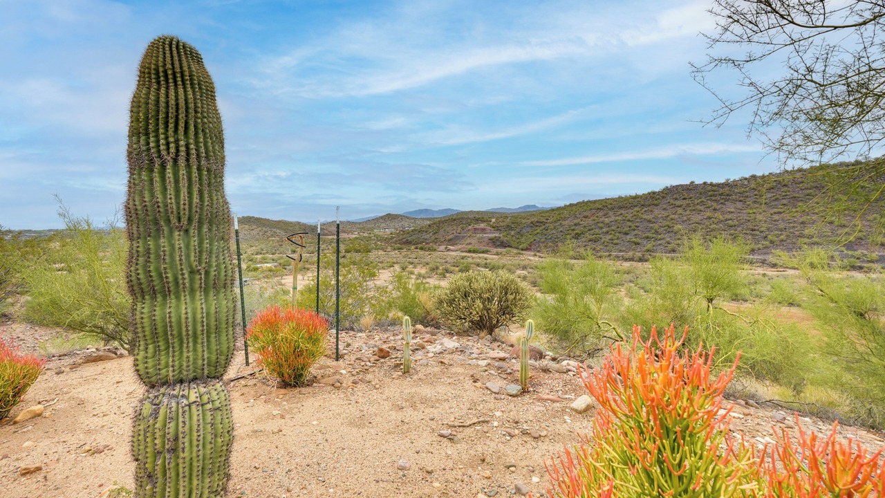 Photo of Others in Wickenburg