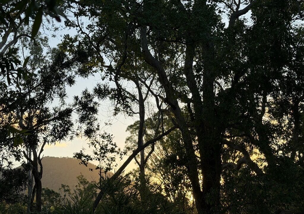 Photo of Others in Conondale