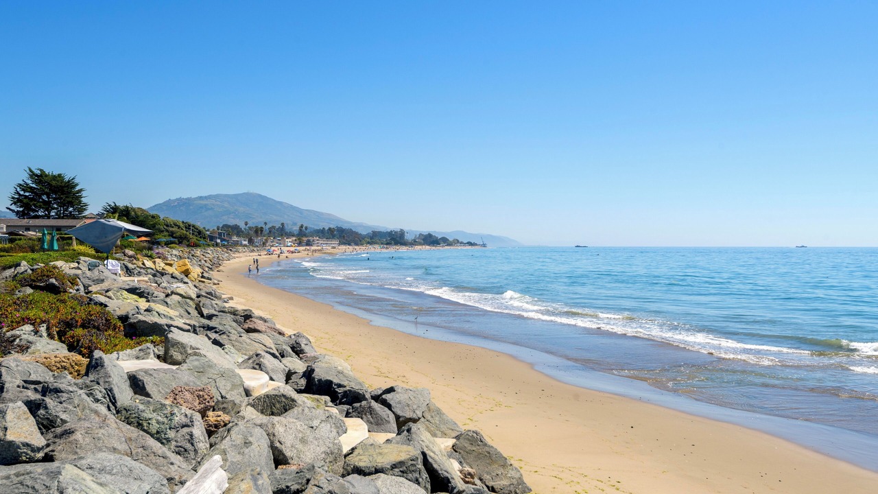 Photo of Others in Carpinteria