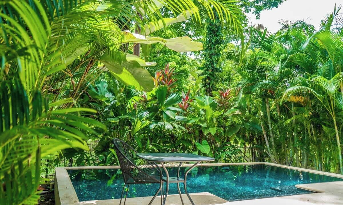 Photo of Outdoor in Puerto Viejo de Talamanca