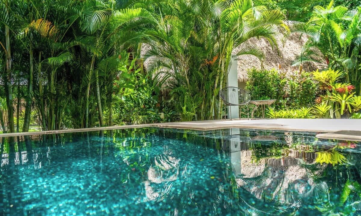 Photo of Outdoor in Puerto Viejo de Talamanca