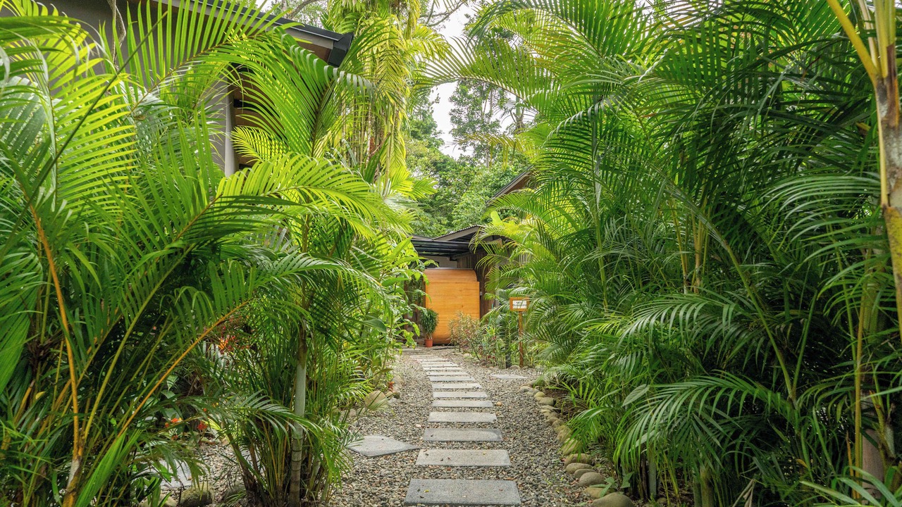 Photo of Outdoor in Punta Uva