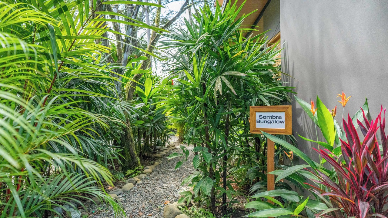 Photo of Outdoor in Punta Uva