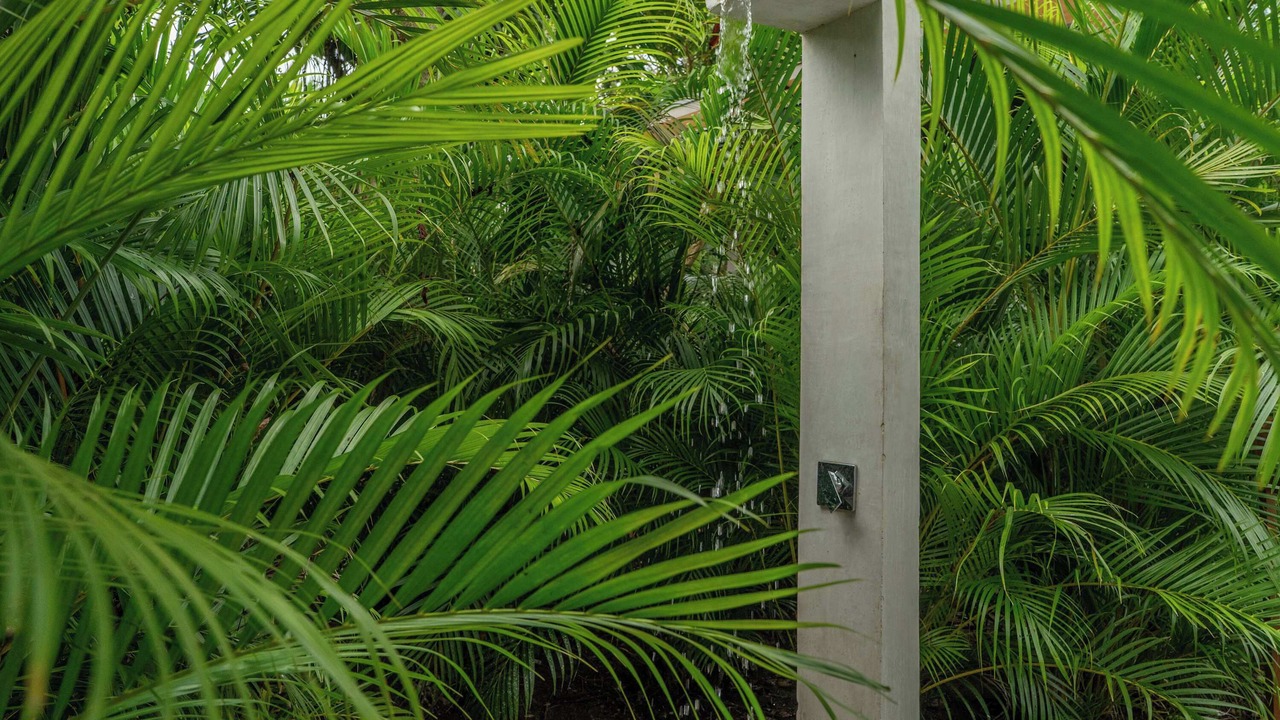 Photo of Outdoor in Punta Uva