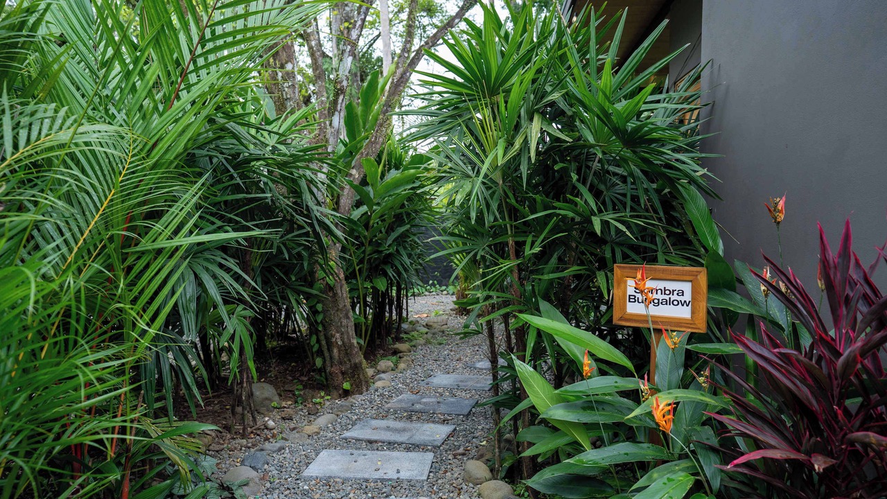 Photo of Outdoor in Punta Uva
