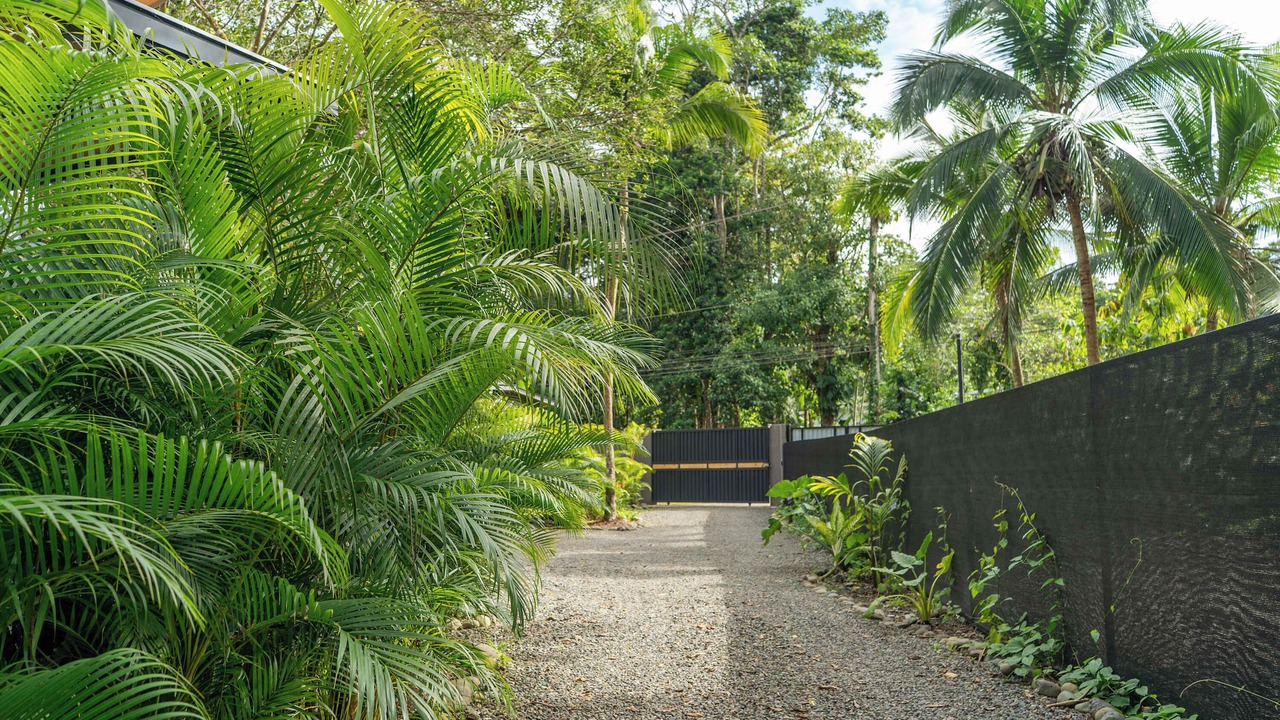 Photo of Outdoor in Punta Uva