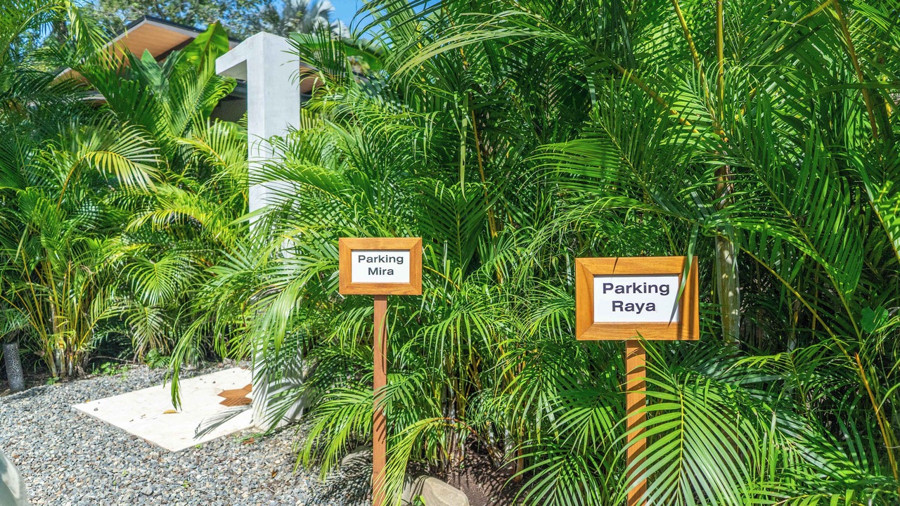Photo of Outdoor in Punta Uva