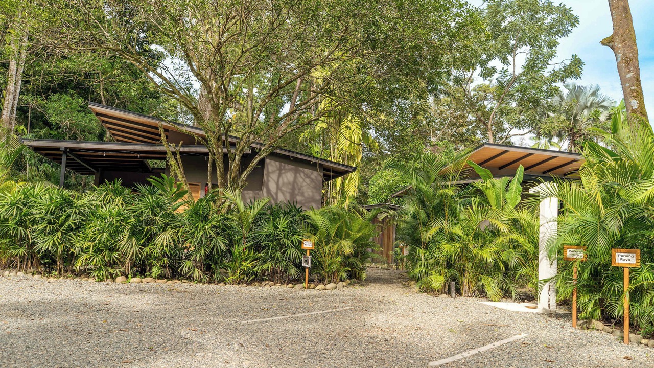 Photo of Outdoor in Punta Uva
