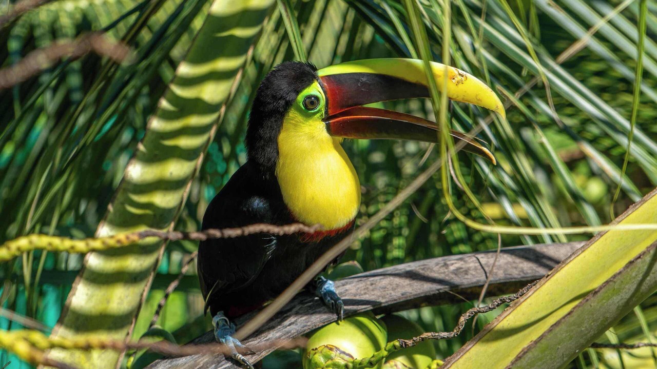 Photo of Others in Punta Uva