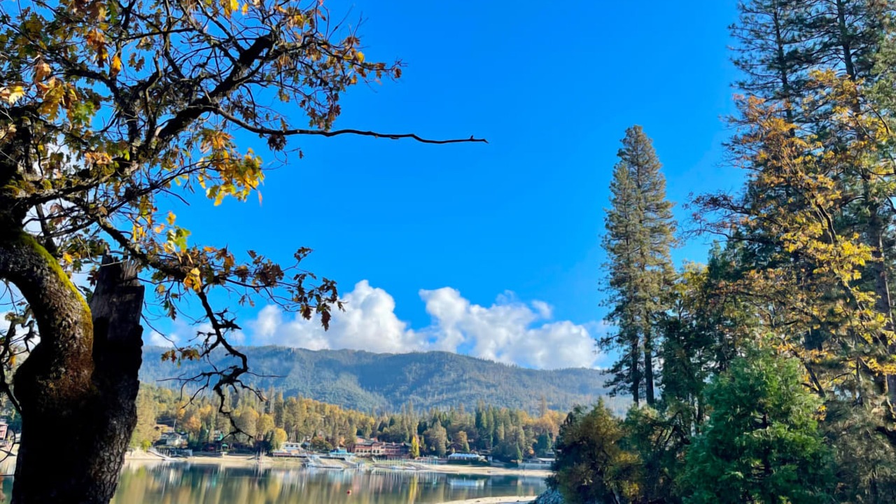 Photo of Outdoor in Bass Lake