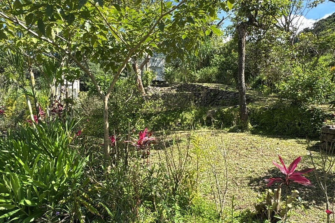 Photo of Outdoor in Monteverde