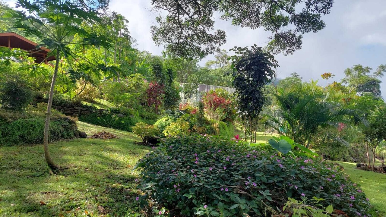 Photo of Outdoor in Monteverde