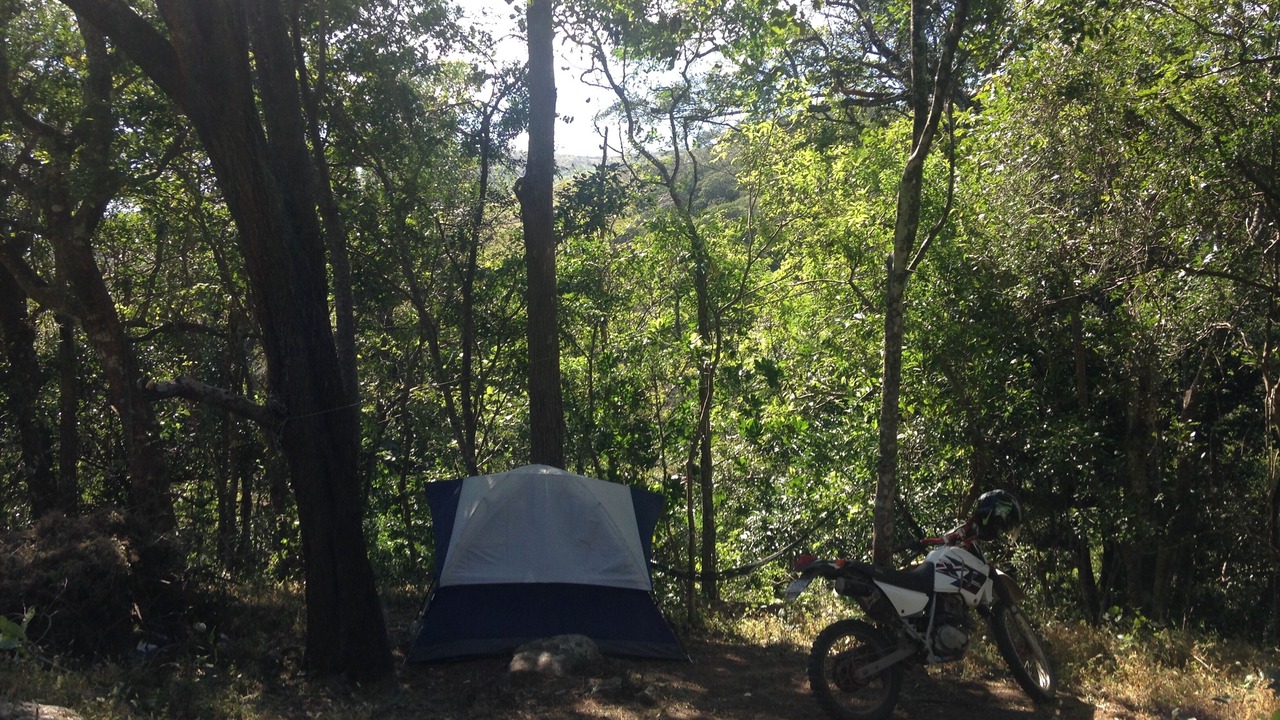 Photo of Others in Monteverde