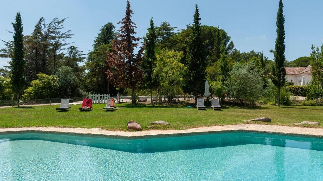 Photo of Outdoor in Sao Lourenco