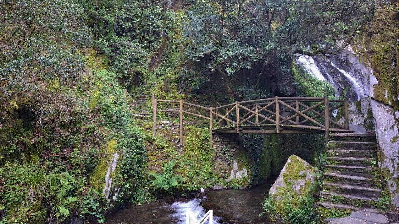 Photo of Others in Arganil