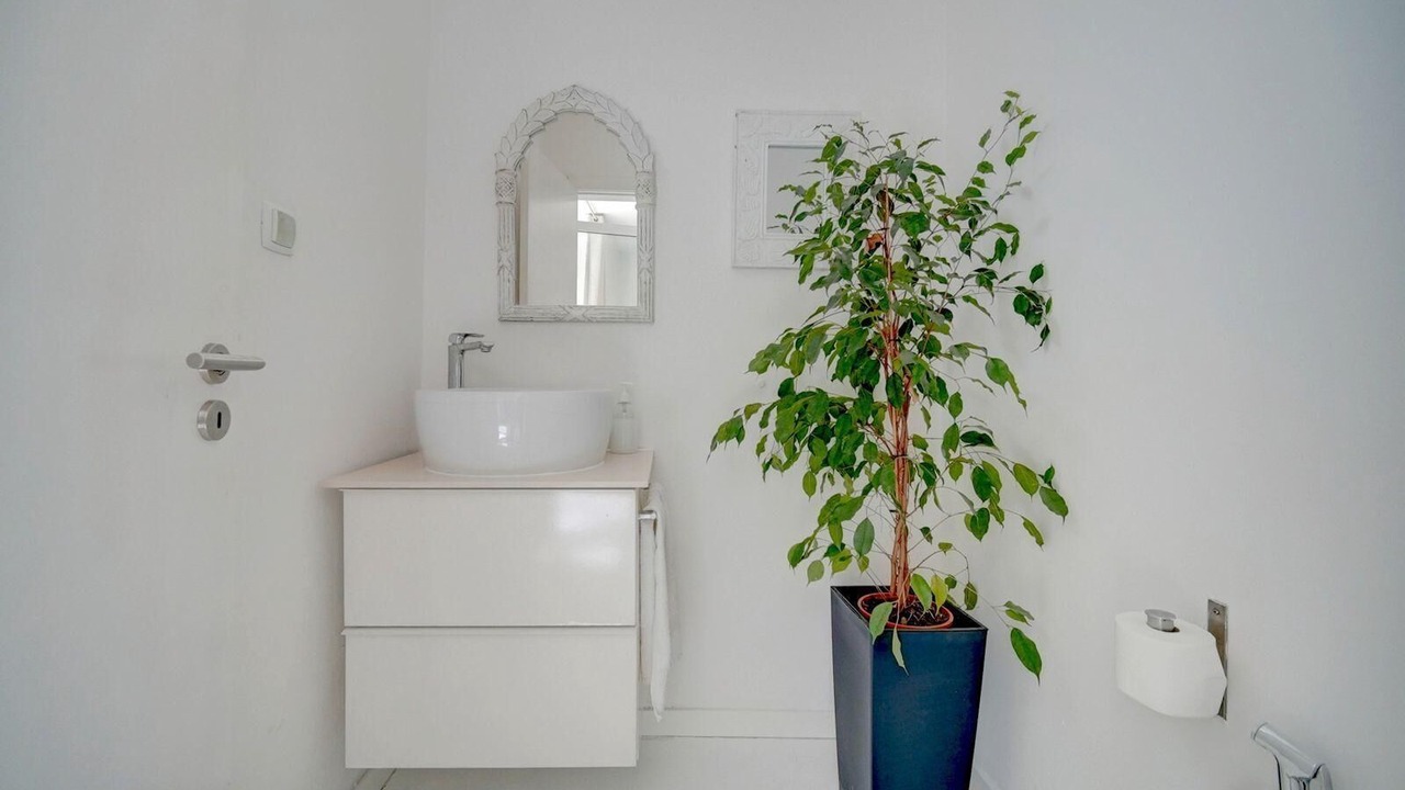 Photo of Bathroom in Oeiras
