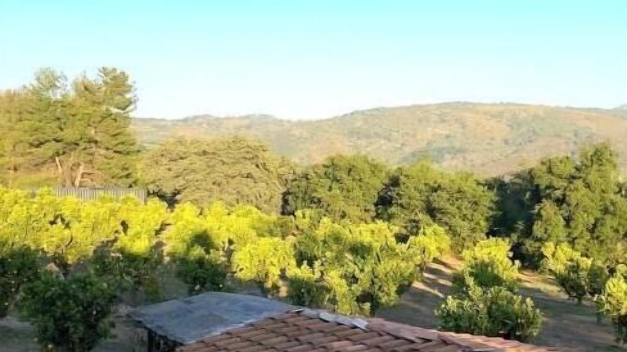 Photo of Outdoor in Pauma Valley