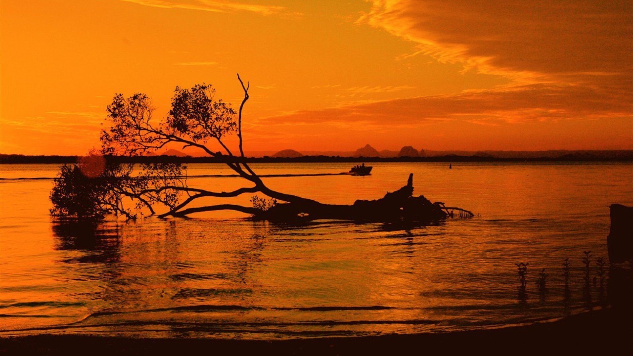 Photo of Others in Banksia Beach