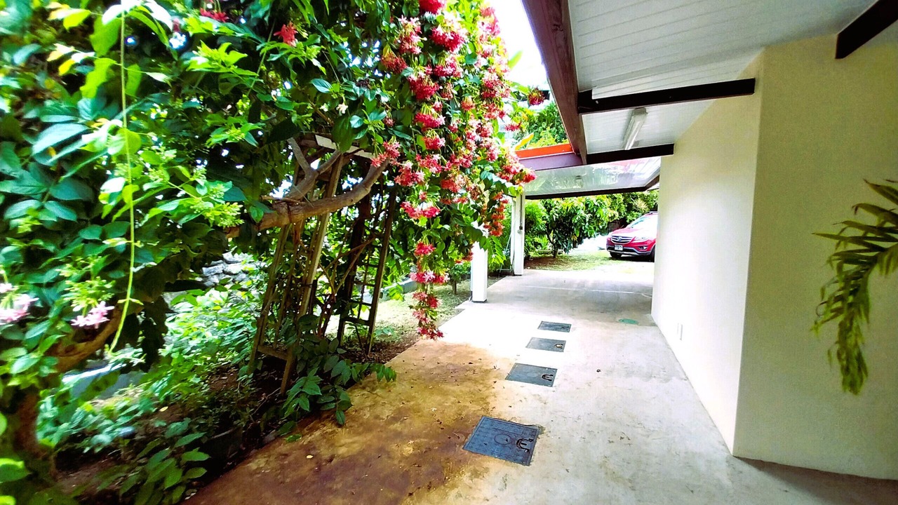Photo of Outdoor in Pirae
