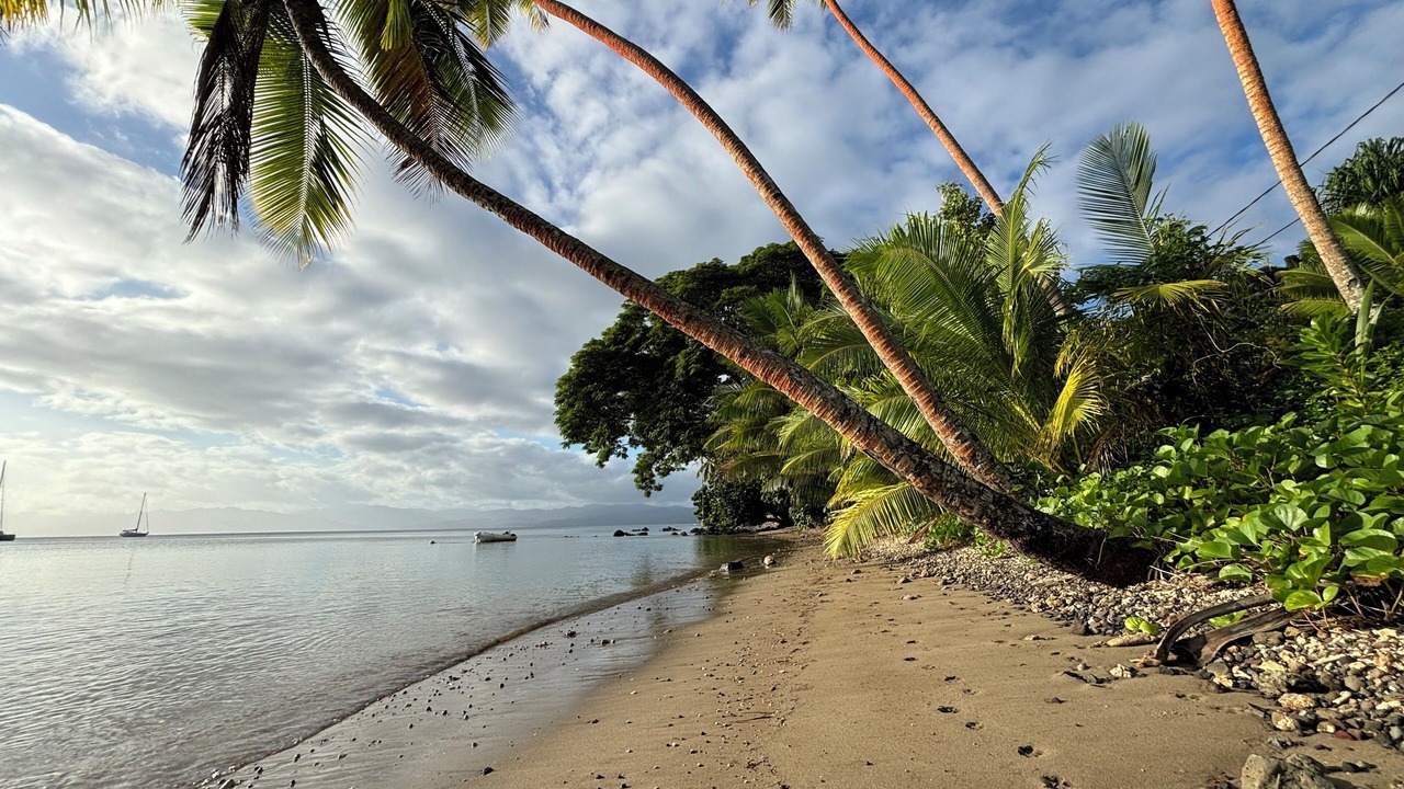 Photo of Others in Savusavu