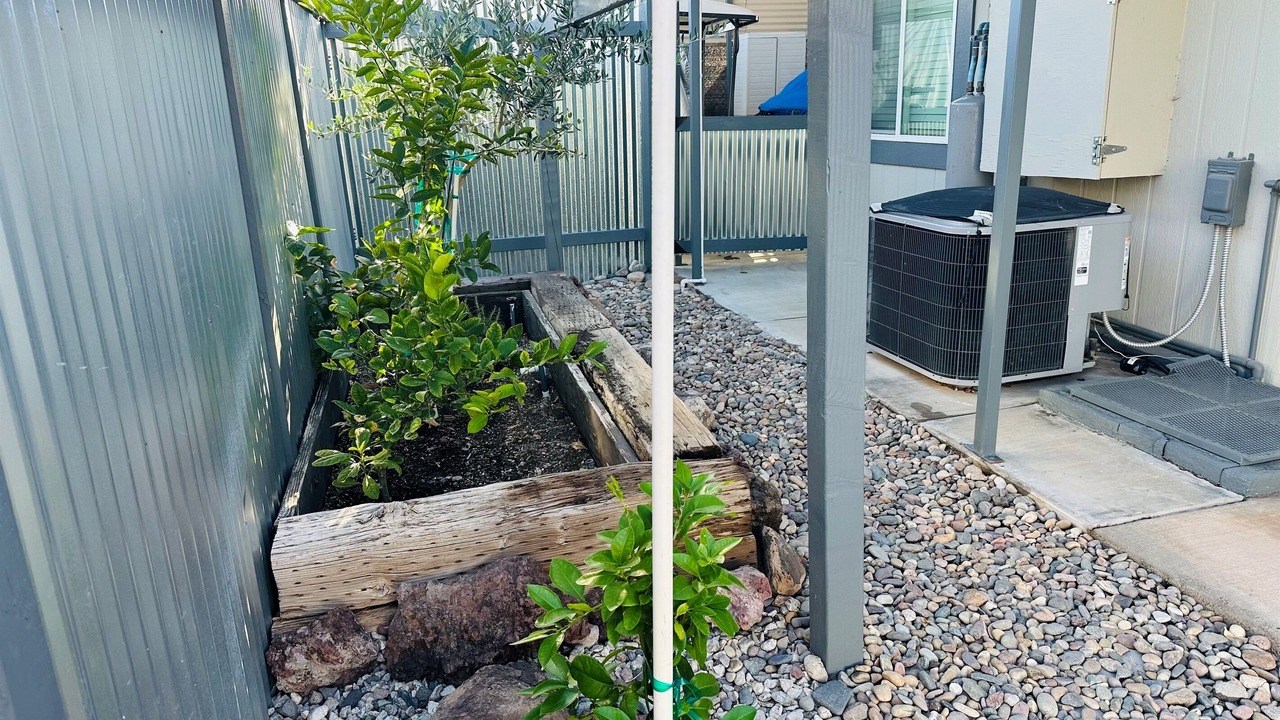 Photo of Outdoor in Bluewater